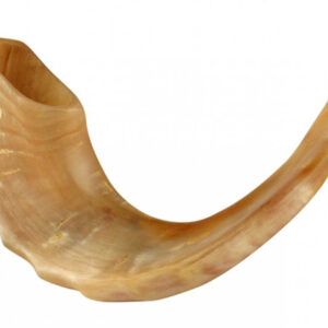 Testing Shofar